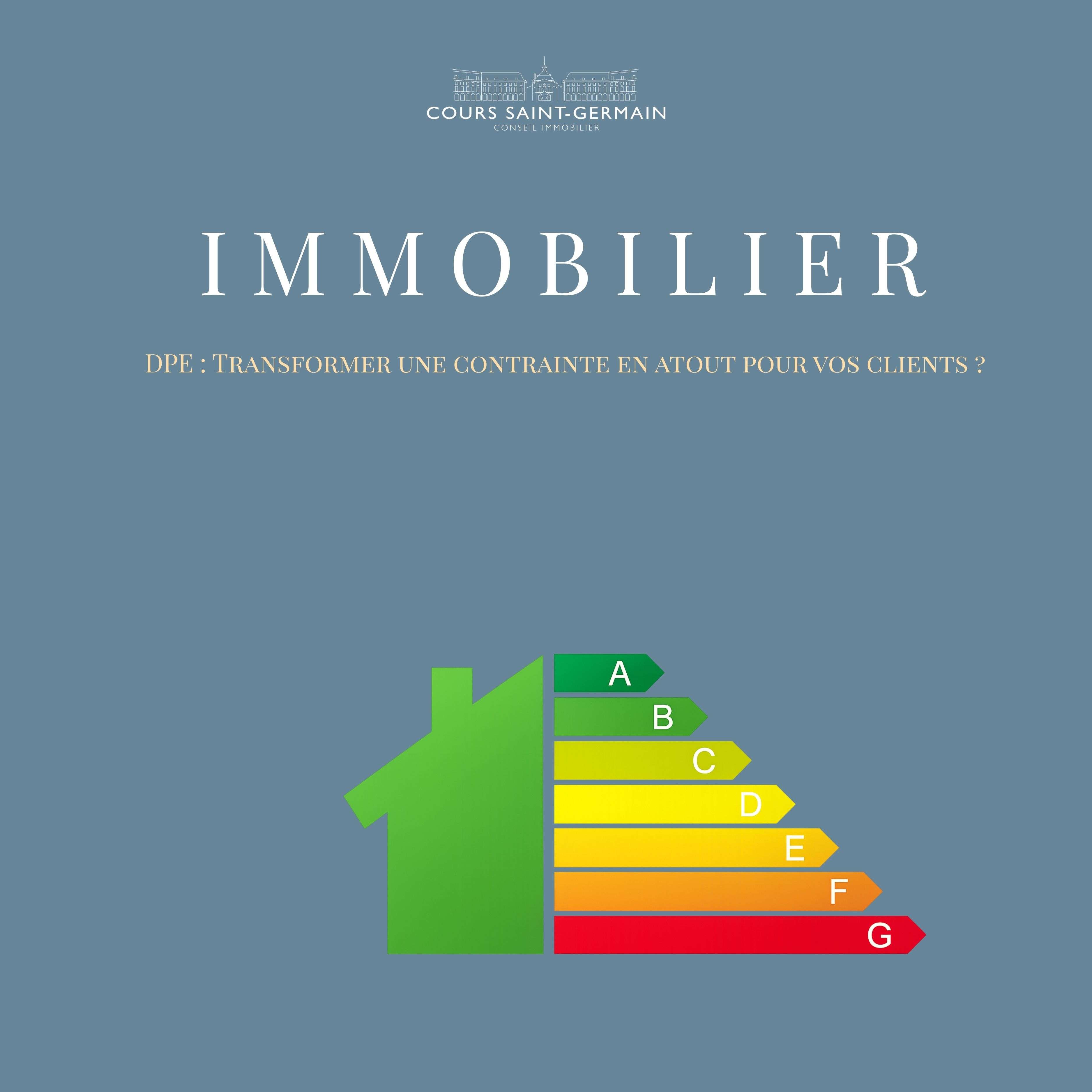 dpe performance energetique atout pour clients immobilier
